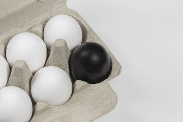 Black egg surrounded by white chicken eggs in a cardboard box