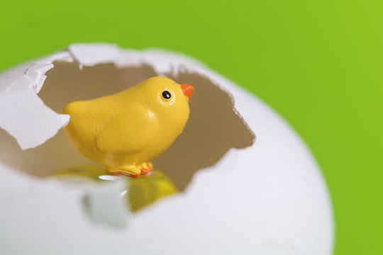 Little toy yellow chick  in the eggshell on a green background