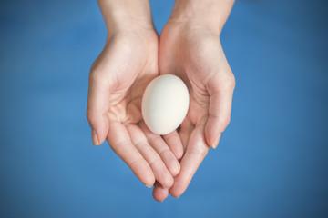 White egg in hands on a blue background