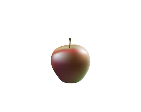 Single ripe red apple fruit isolated on white background.