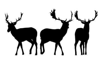 Set of vector silhouettes of three deer