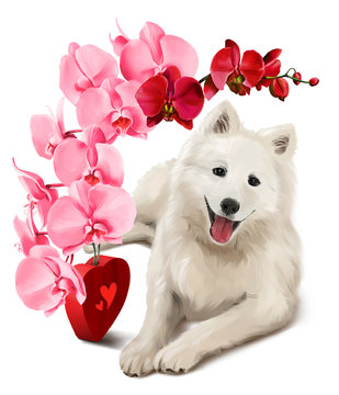 Japanese Spitz and a bouquet of flowers