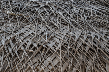 Dry palm leaf for background.
