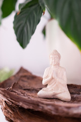 Tiny buddha figure standing on a piece of bark under a plant