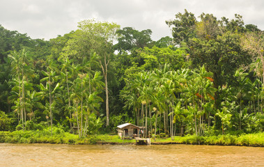 Rio Amazonas by boat - obrazy, fototapety, plakaty