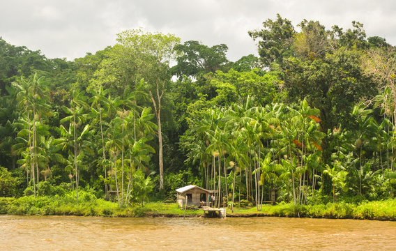 Rio Amazonas by boat