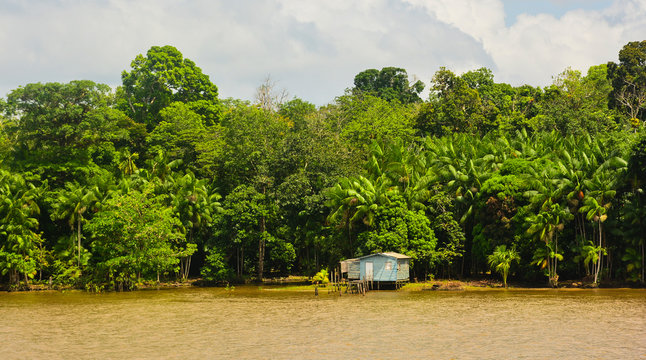 Rio Amazonas by boat
