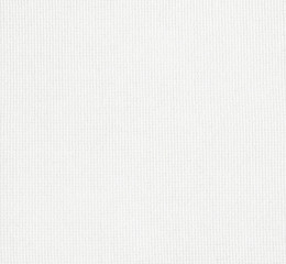 Primed white canvas texture background. Highly detailed.