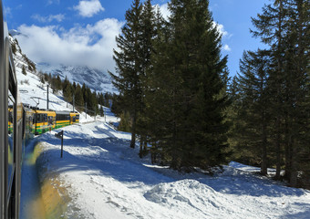 snow on road in winter with pine tree and blue sky
