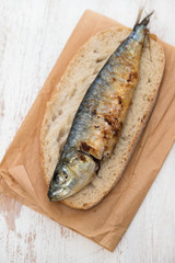 griiled sardine on bread