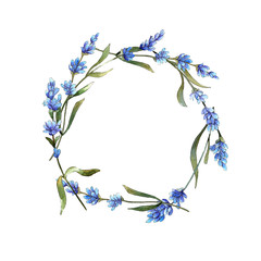 Wildflower lavender flower wreath in a watercolor style. Full name of the plant: lavender. Aquarelle wild flower for background, texture, wrapper pattern, frame or border.