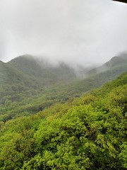 mist on the mountainsides