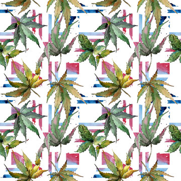 Cannabis leaves pattern in a watercolor style. Aquarelle wild flower for background, texture, wrapper pattern, frame or border.