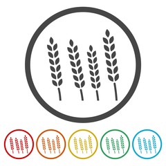 Wheat icon, Wheat ears icon, 6 Colors Included