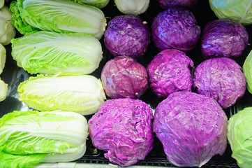 Group of fresh organically grown green and red cabbage