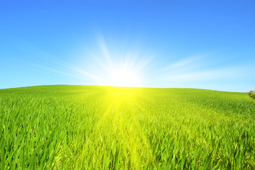 Green Hill with rays of sunshine
