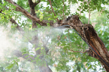 Fog water spray nozzle setup on tree for watering plant