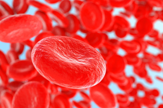 red blood cells 3d rendering