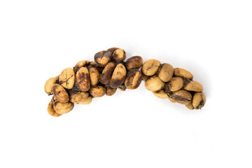 Kopi luwak or civet coffee, Arabica Coffee beans excreted by the wild civet isolated on white...