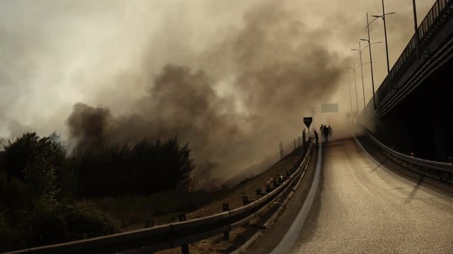 People running away from big fire in the forest