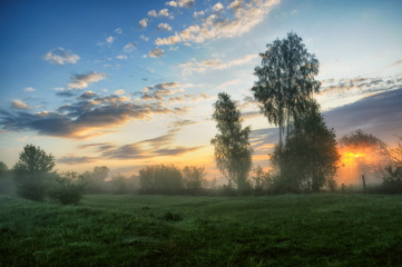Naklejka na ściany i meble spring morning. a misty dawn in a picturesque meadow. Sun rays