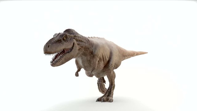 Tyrannosaurus Rex in motion of attack
