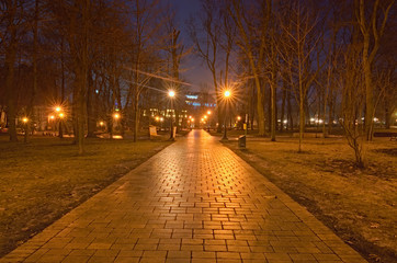 City at night downtown of Kyiv, Ukraine. A deserted path in the Taras Shevchenko Park. A few hours before dawn