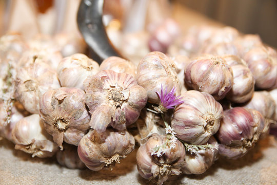 Garlic bulbs decoration