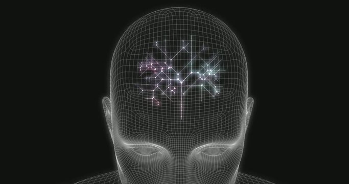 Unleash Your Potential in a Career Training Business