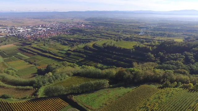 Weinberge Reben Kiechlinsbergen