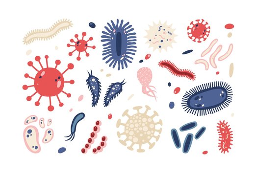 Set of different microorganisms isolated on white background. Collection of infectious germs, protists, microbes. Bundle of disease causing bacteria, viruses. Bright colored flat vector illustration.
