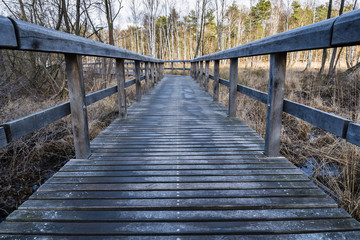 Obraz premium Steg im Moor, Laufsteg, Wanderweg im Moor, Wandersteg im Winter