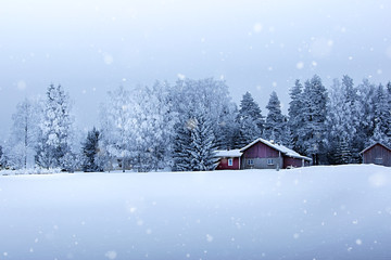 Peaceful Snowy Landscape