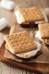 homemade marshmallow s'mores with chocolate on crackers