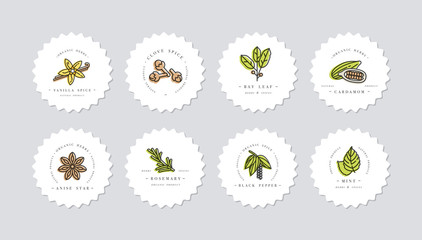 Vector set design colorful templates logo and emblems - herbs and spices. Different spices icon. Logos in trendy linear style isolated on white background.