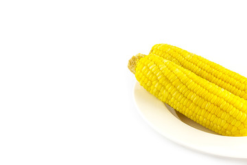 Boiled yellow corn cobs isolated on white