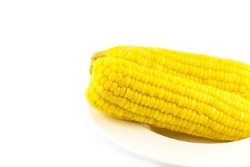 Boiled yellow corn cobs isolated on white