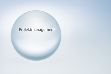 Blick in die Glaskugel - Projektmanagement
