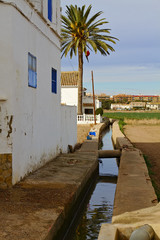 Irrigation channel between the fields