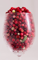 lingonberry,Forest berries cowberry,