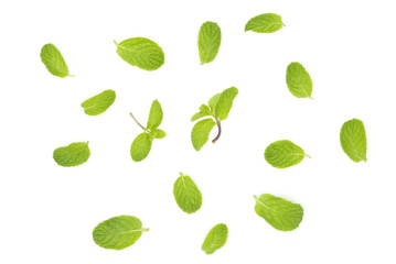 Fresh mint leaf isolated on white background.