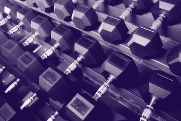 Ultra Violet Dumbbell. Rows of dumbbells in gym with loft modern gym