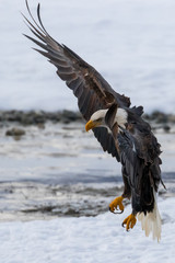 air brakes