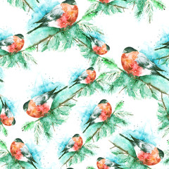 Seamless watercolor pattern with a picture of a bird, bullfinch. A bird on a spruce branch. The bird is red. Watercolor card.
