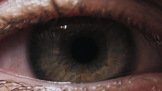 SLOW MOTION: Contraction of the pupil. Extreme close up human eye iris video. Human eye contracting.