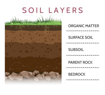 Dirt layers. Soil layer scheme with grass and roots, earth texture and stones vector illustration