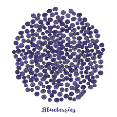 Blueberries - obrazy, fototapety, plakaty