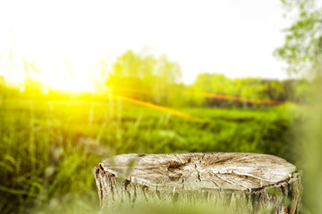 spring background of free space and sun light 