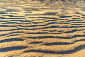 texture of sea sand