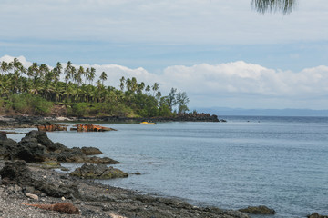 View to the bay with voulcanic stones and palms, Craig Cove, Ambrym, Vanuatu